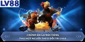 3 Kênh Đá Gà Nổi Tiếng, Thu Hút Người Theo Dõi Tại LV88
